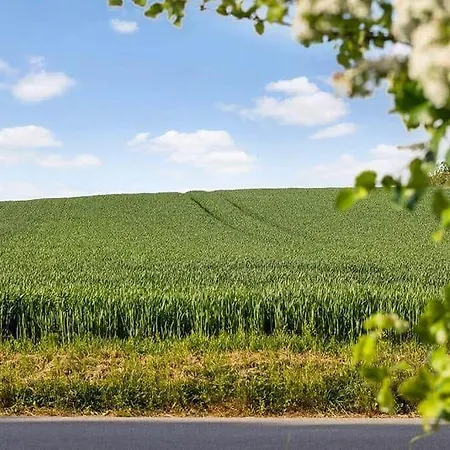 Feriehus Sb121-sydals-osterbyvej-21 Osterby (Sonderjylland)