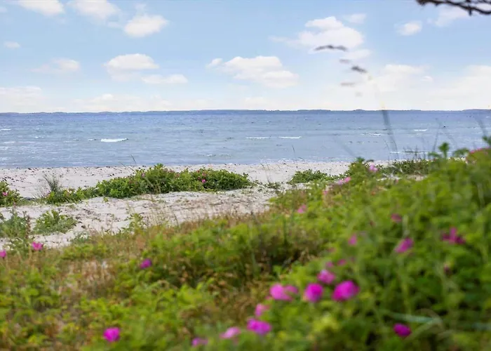 Sb121-sydals-osterbyvej-21 Holiday home Osterby (Sonderjylland)