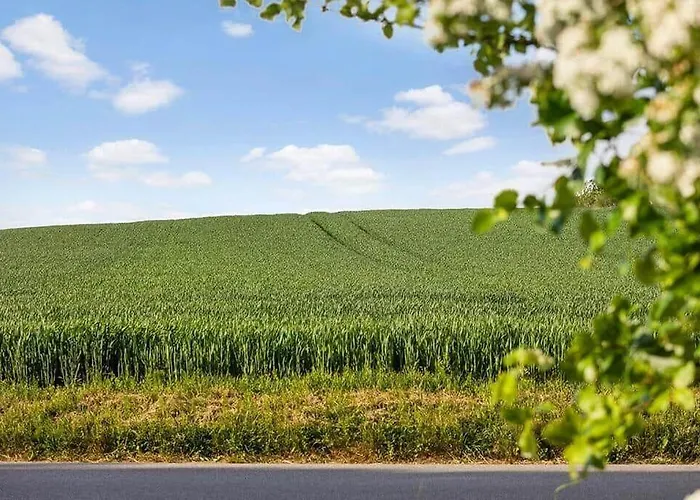 Holiday home Sb121-sydals-osterbyvej-21 Osterby (Sonderjylland)